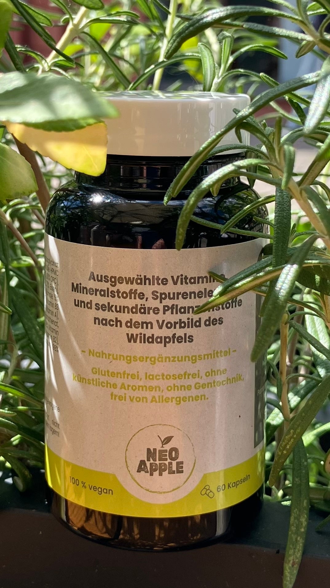 Neoapple Dose zwischen Rosmarin-Zweigen