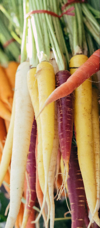 Verschiedene Karotten, zu Bünden zusammengebunden, im Hintergrund andere Gemüsesorten